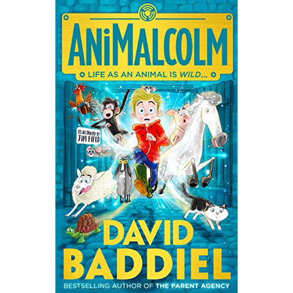 David Baddiel Books - Pack of 3