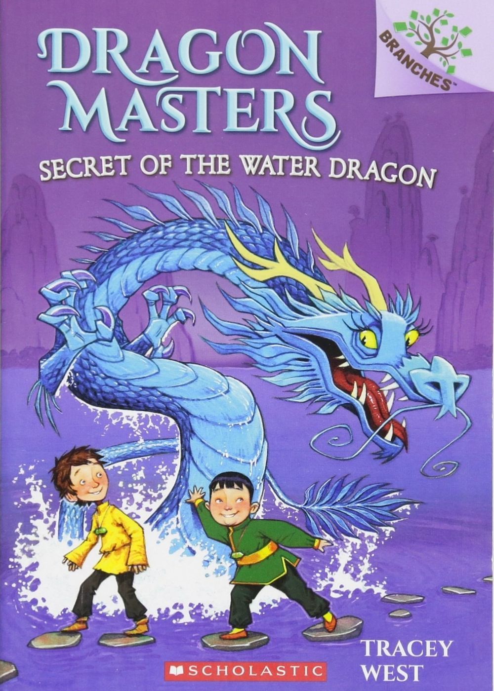 Dragon Masters Box Of 10 Books