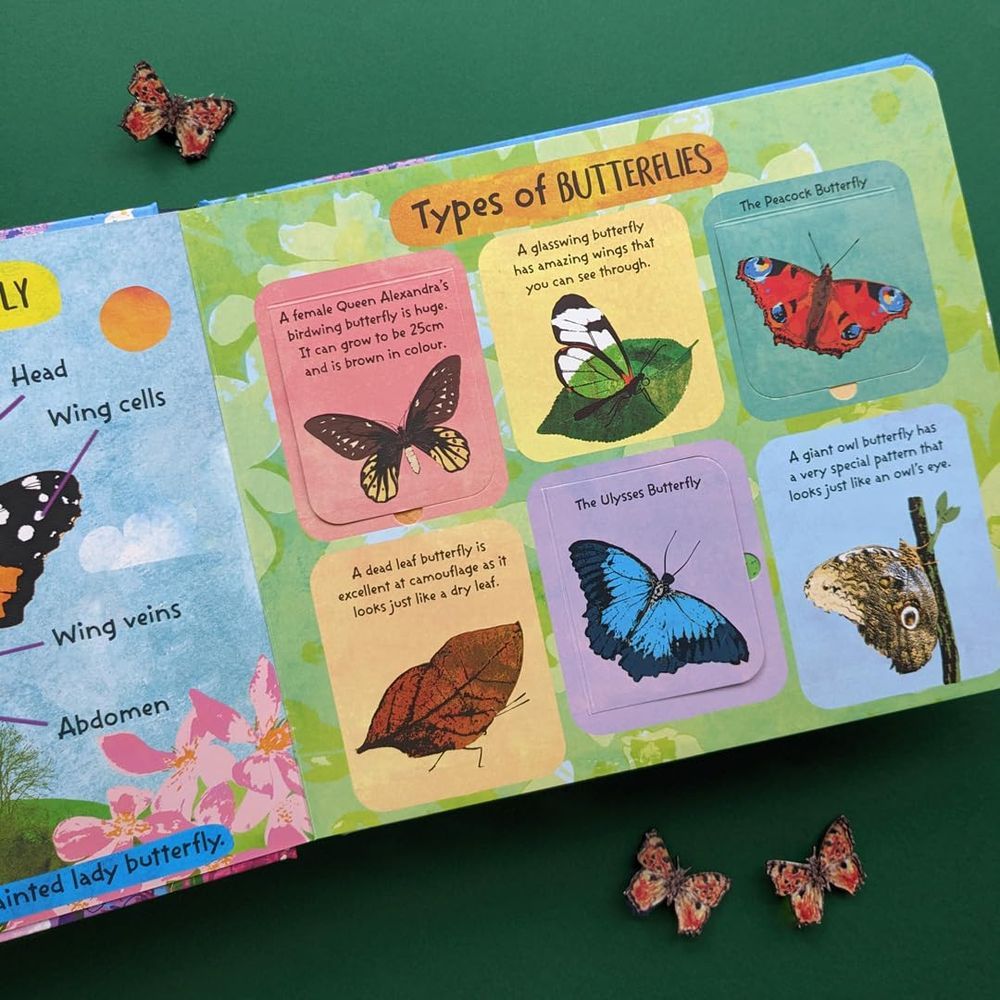 كتاب The Life Cycle Of Butterflies