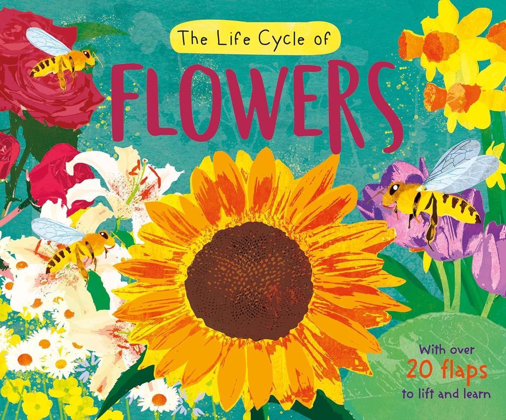 كتاب Life Cycle Book - Flowers