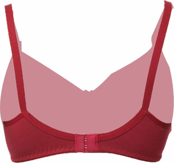 Tummy - Women's Cottom Maternity & Nursing Bra - Pack Of 2