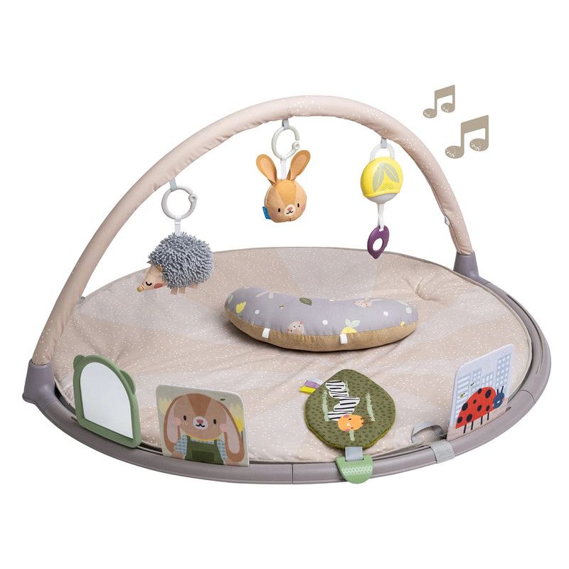 Taf Toys - Tummy-time Activity Gym