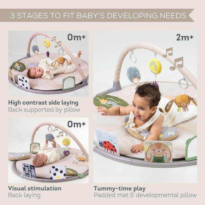 Taf Toys - Tummy-time Activity Gym