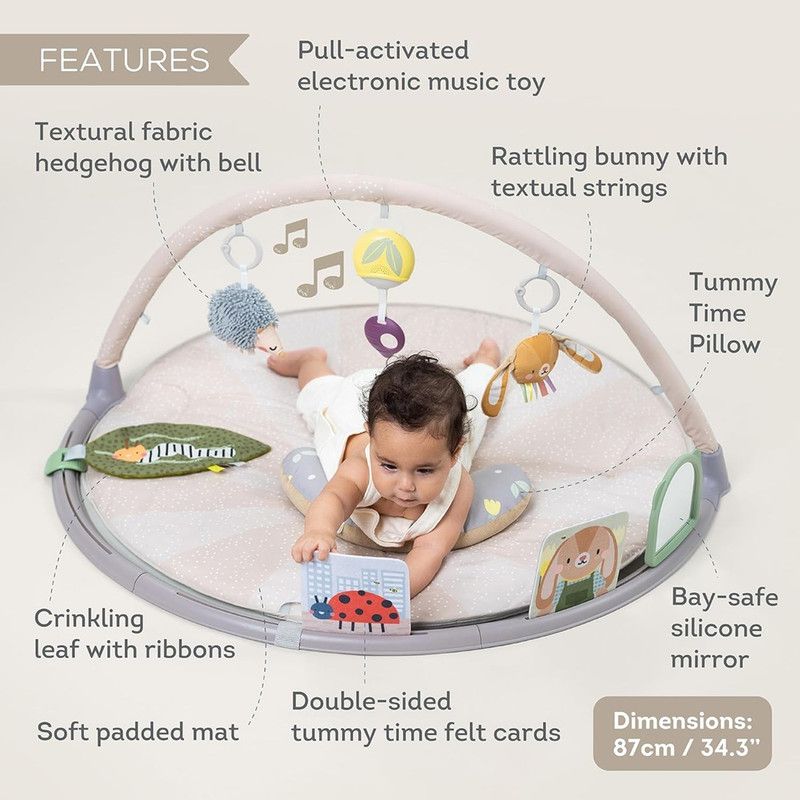 Taf Toys - Tummy-time Activity Gym