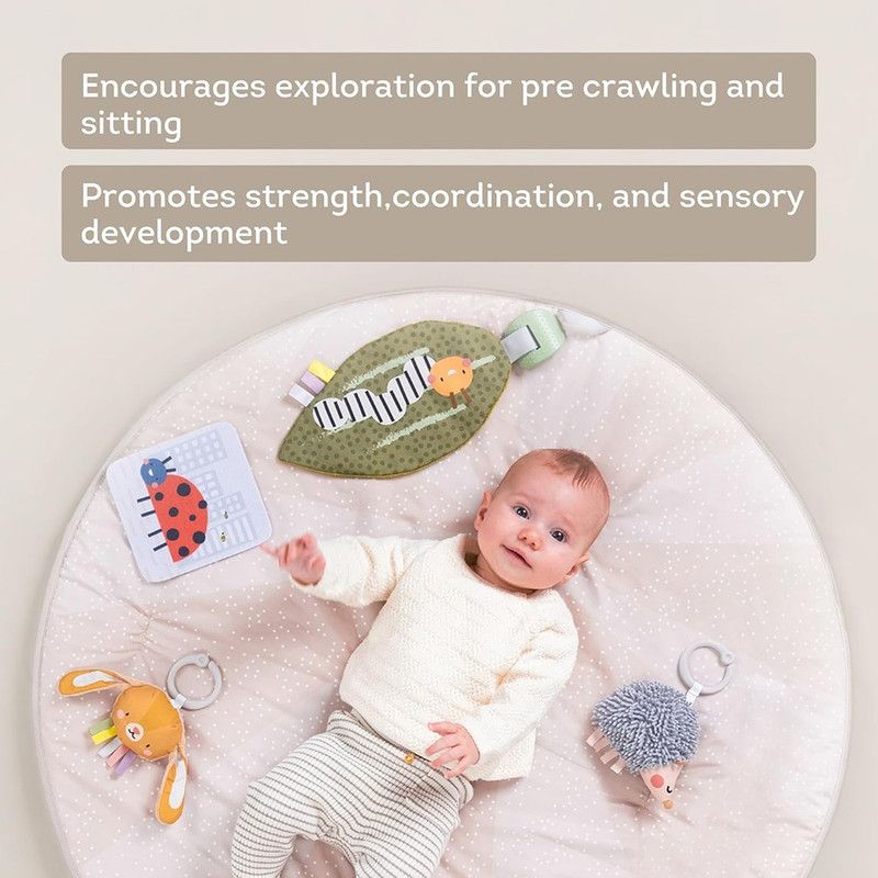 Taf Toys - Tummy-time Activity Gym