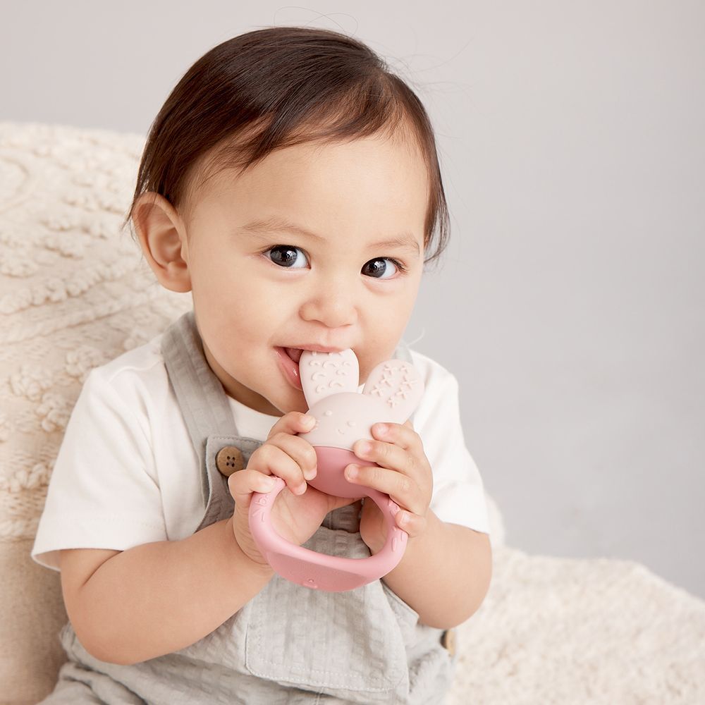 B.box - Chill Plus Fill Sensory Teether - Blush