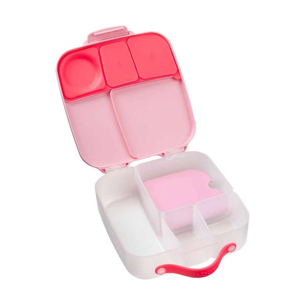 B.box - 5 Compartment Lunch Time Box - Flamingo Fizz