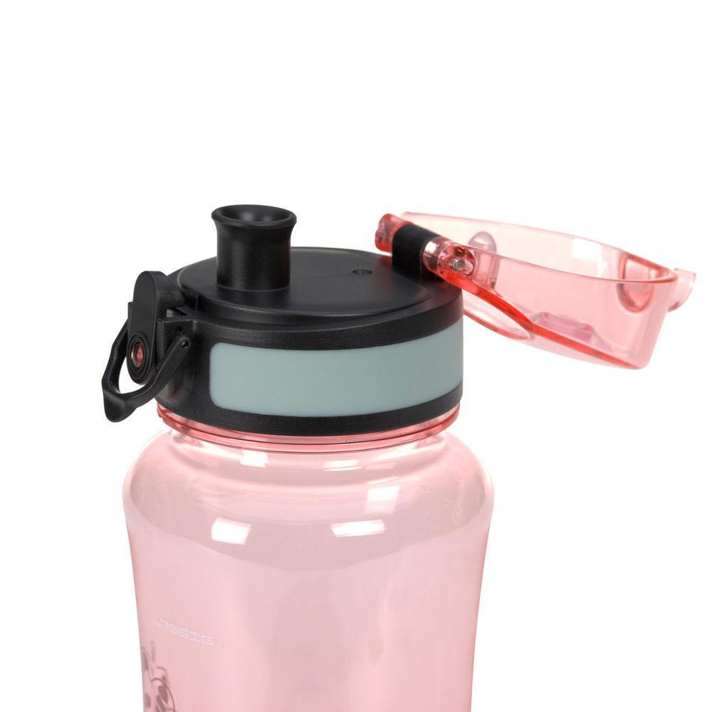 Lassig - Lunchbox With 2 Compartment And Water Bottle - Dino Rose - 460ml