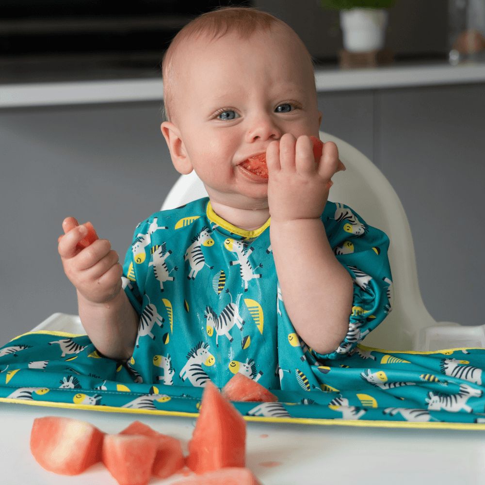 Tidy Tot - Cover And Catch Short Sleeves Bib - Dancing Zebras