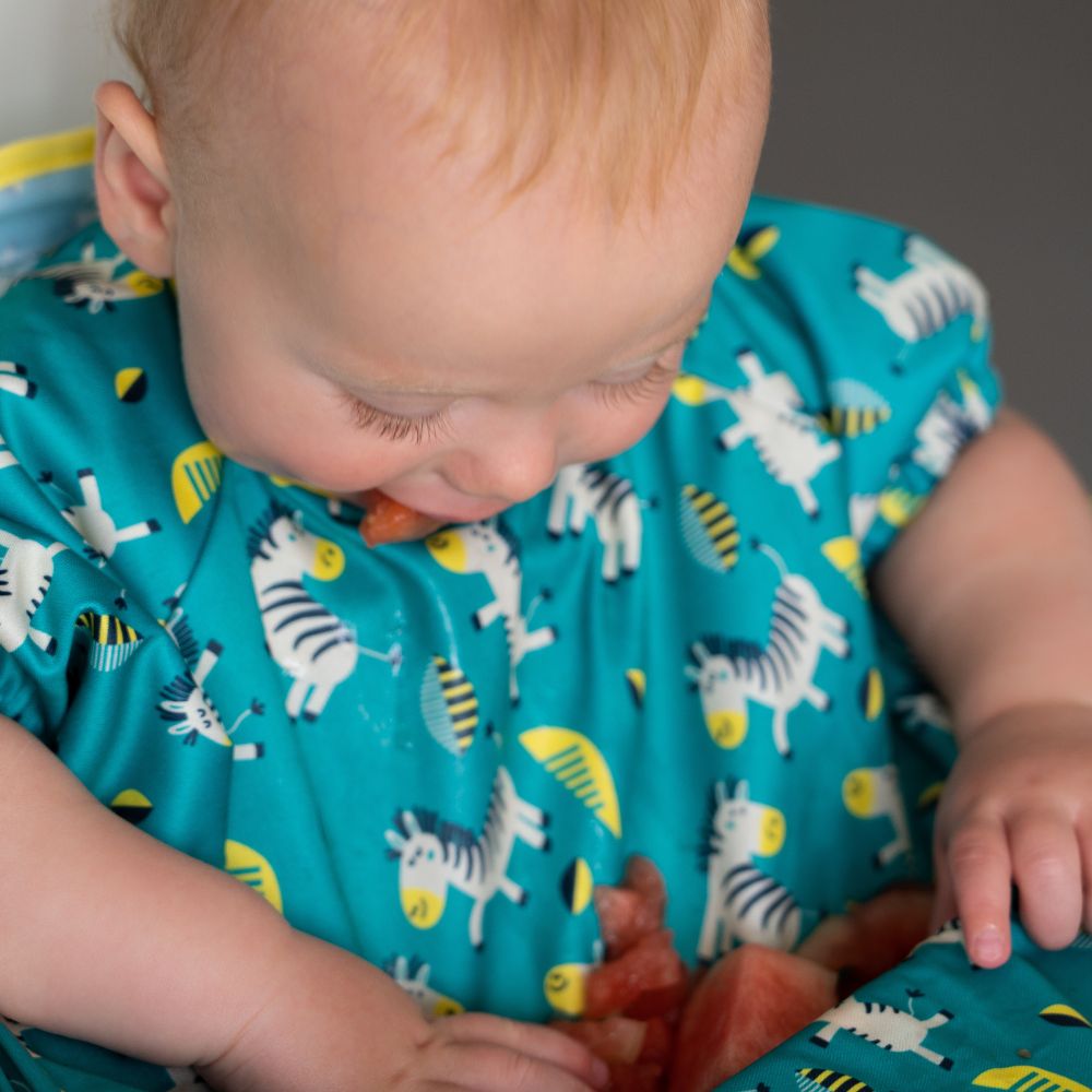 Tidy Tot - Cover And Catch Short Sleeves Bib - Dancing Zebras