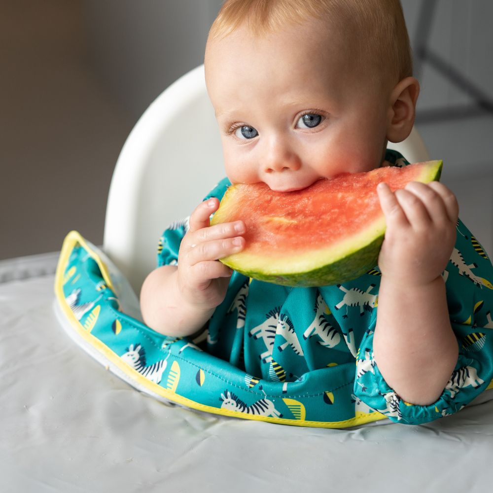 Tidy Tot - Long Sleeves Coverall Bib - Dancing Zebras