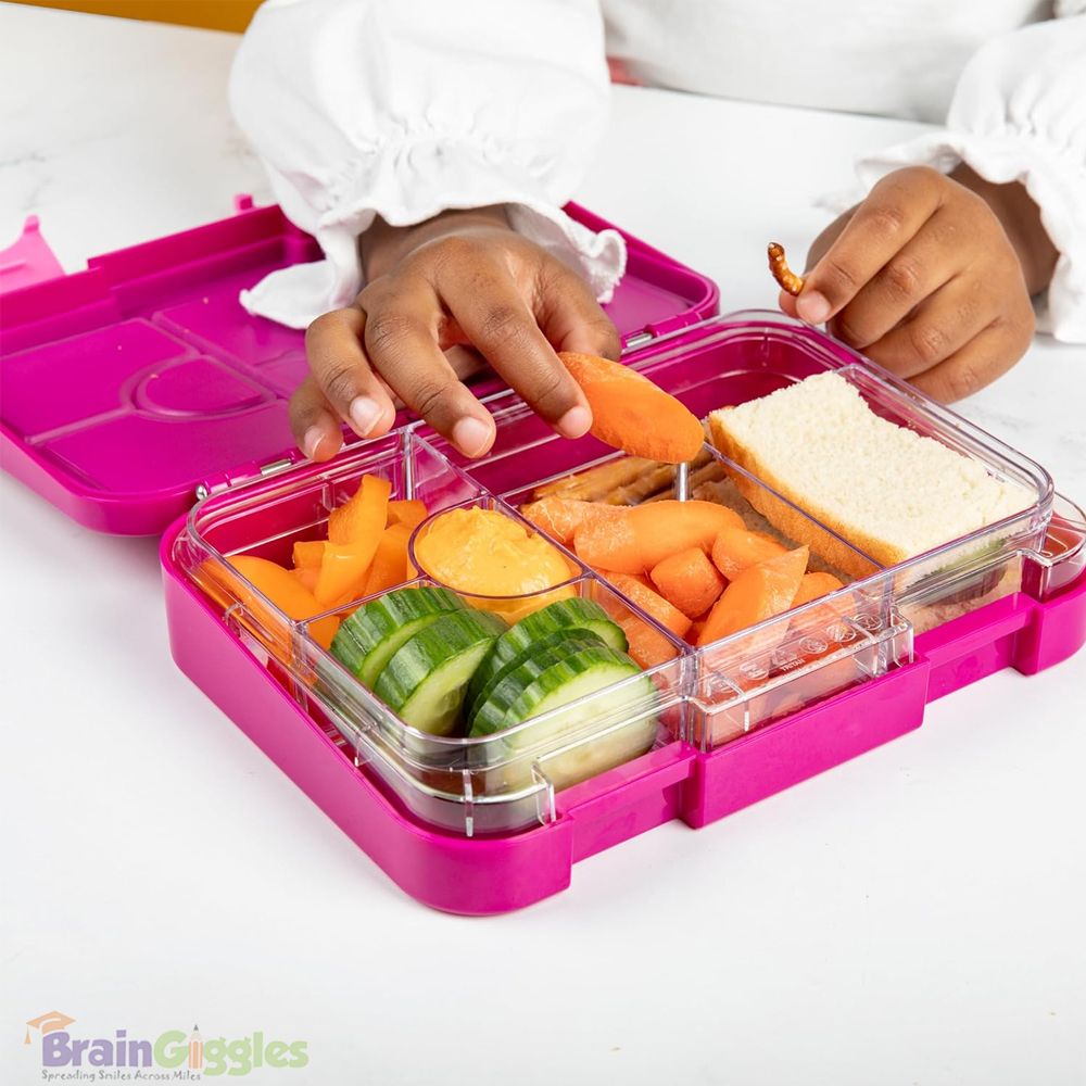 Brain Giggles - 6 Compartments Bento Lunch Box - Dark Pink - 760 ml