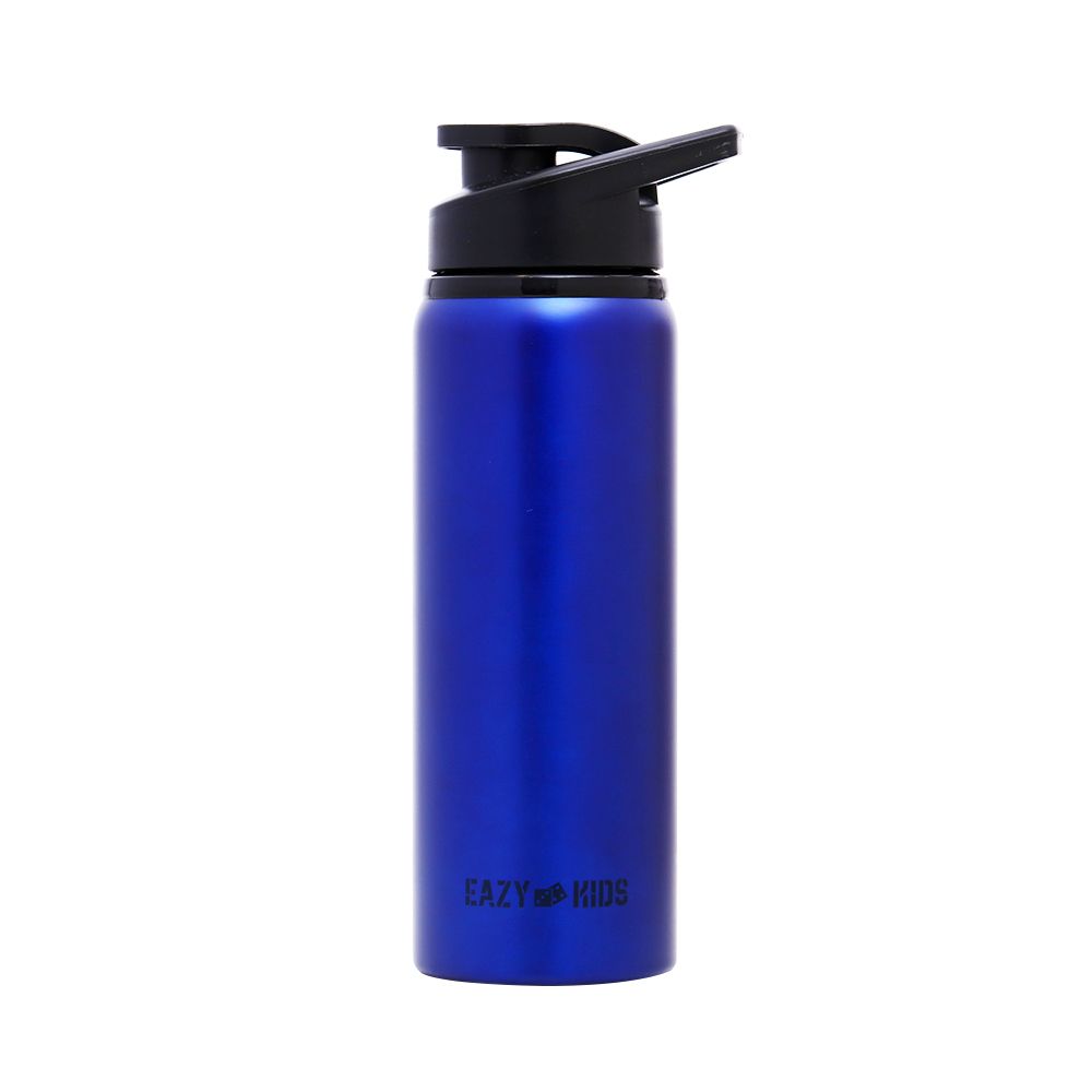 Eazy Kids - Stainless Steel Sports Water Bottle - 700ml - Blue