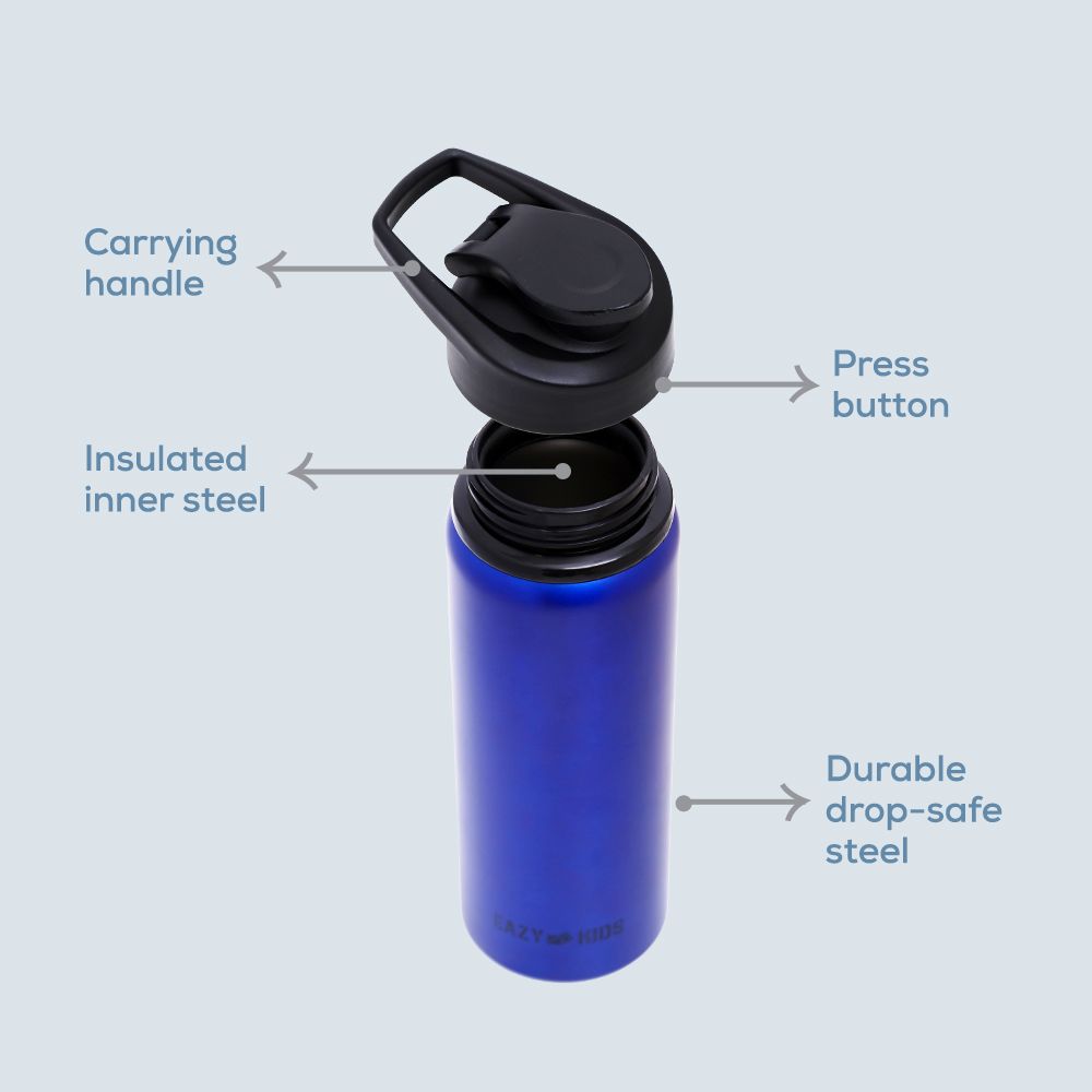 Eazy Kids - Stainless Steel Sports Water Bottle - 700ml - Blue