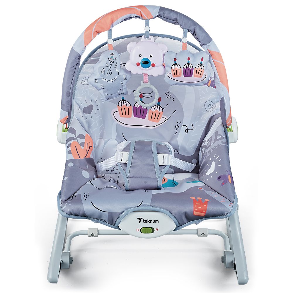 Teknum - 3-In-1 Rocker/Baby Seat/Recliner With Soothing Music