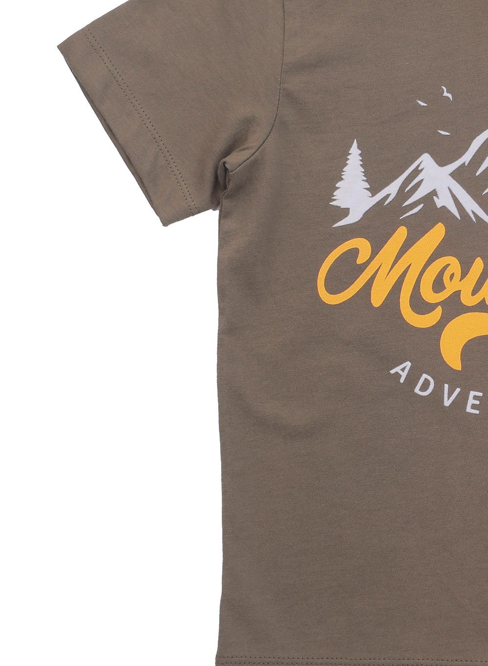 Nuego - Boys Mountain Printed T-Shirt - Brown