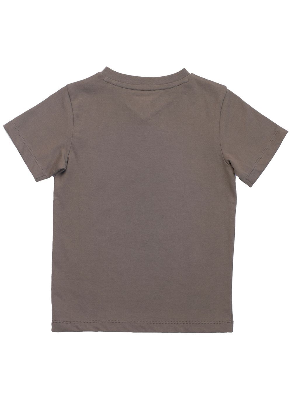 Nuego - Boys Mountain Printed T-Shirt - Brown