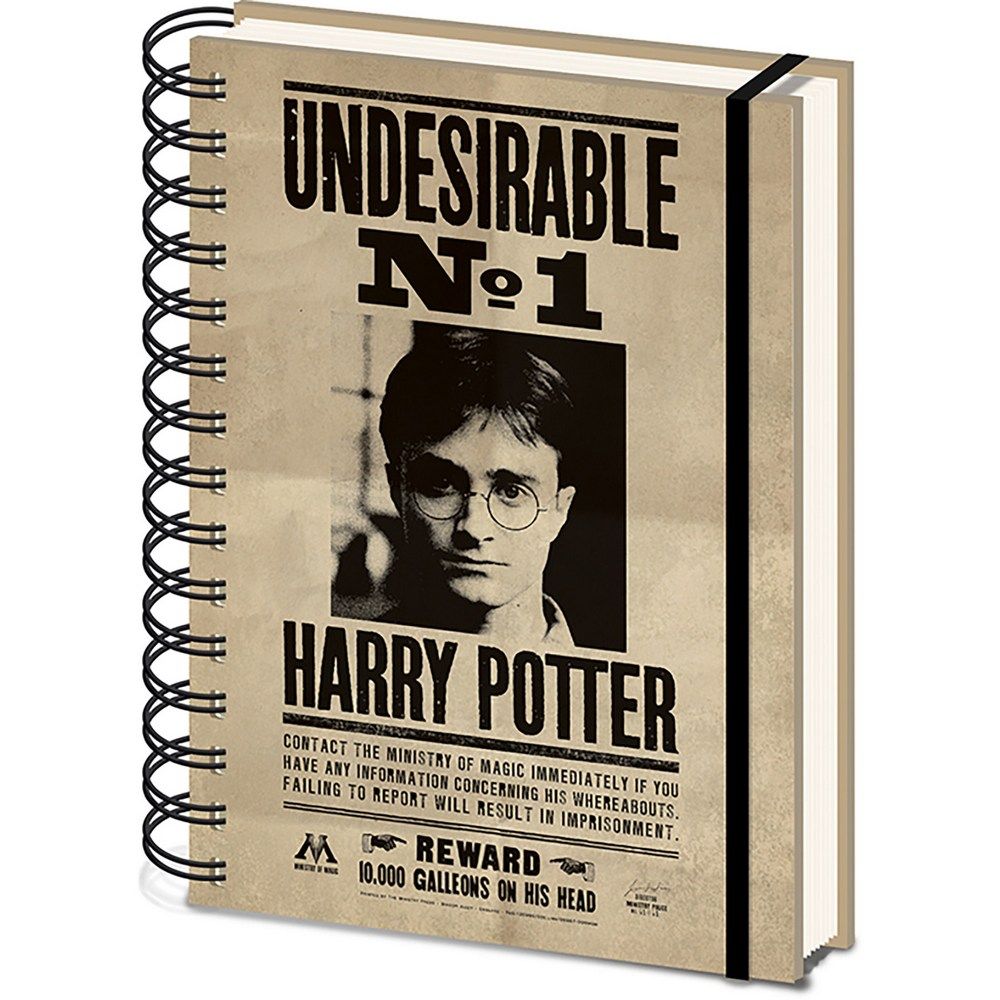 Pyramid International - Harry Potter - Sirius & Harry 3D Cover Notebook