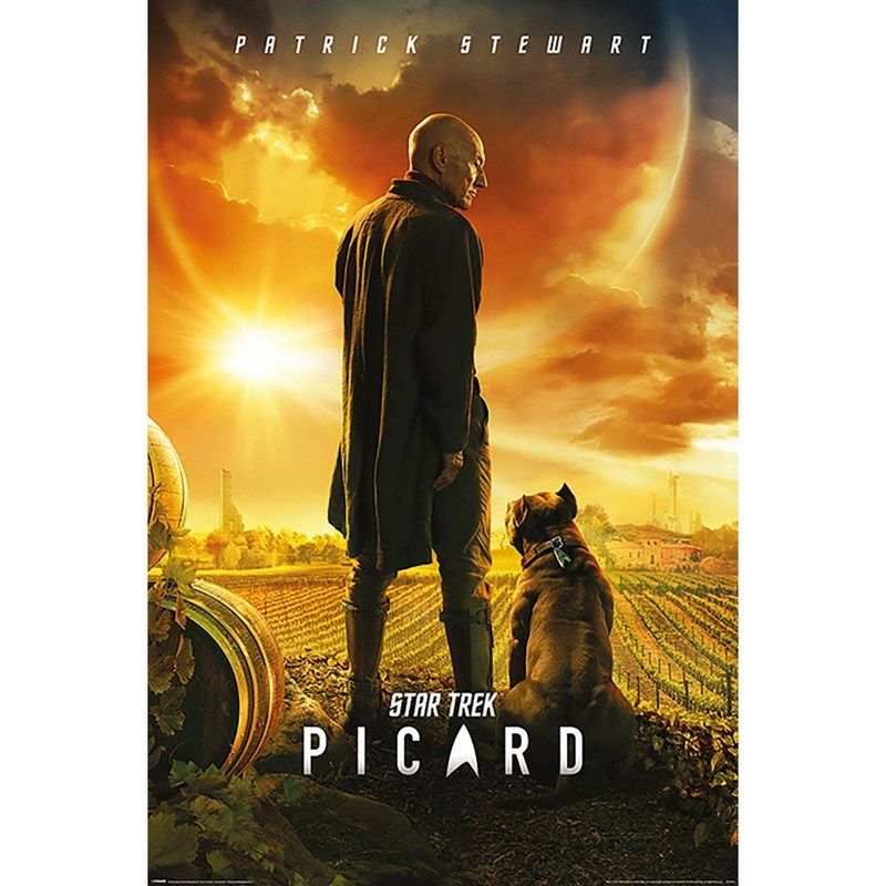 Pyramid International - Star Trek Picard Number One Maxi Poster