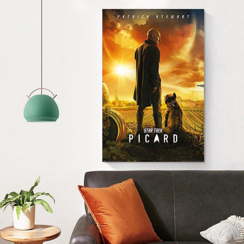 Pyramid International - Star Trek Picard Number One Maxi Poster