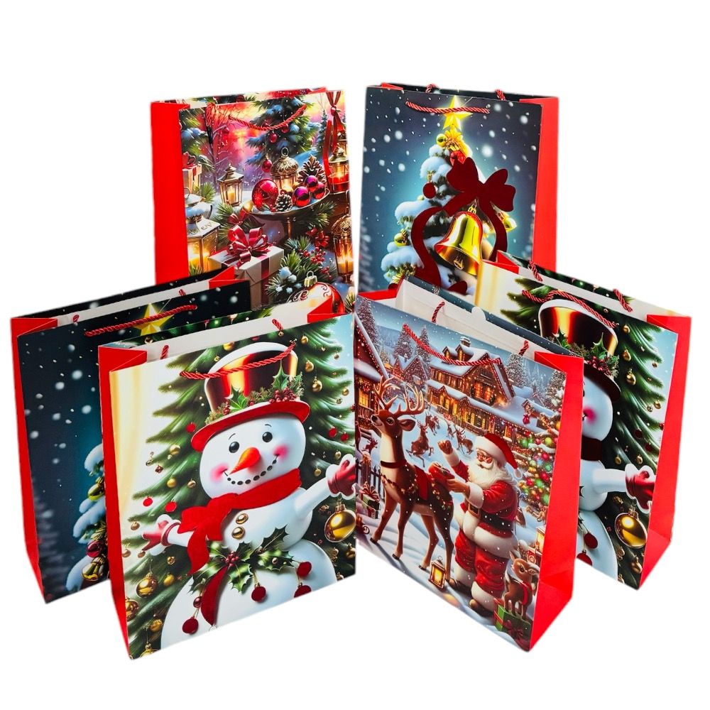 Doodle Kiddo - Christmas Gift Bag Set - 6 Pcs