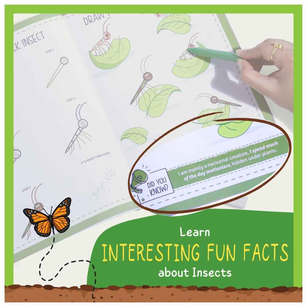 Pepplay - Incredible Insects Drawing Book