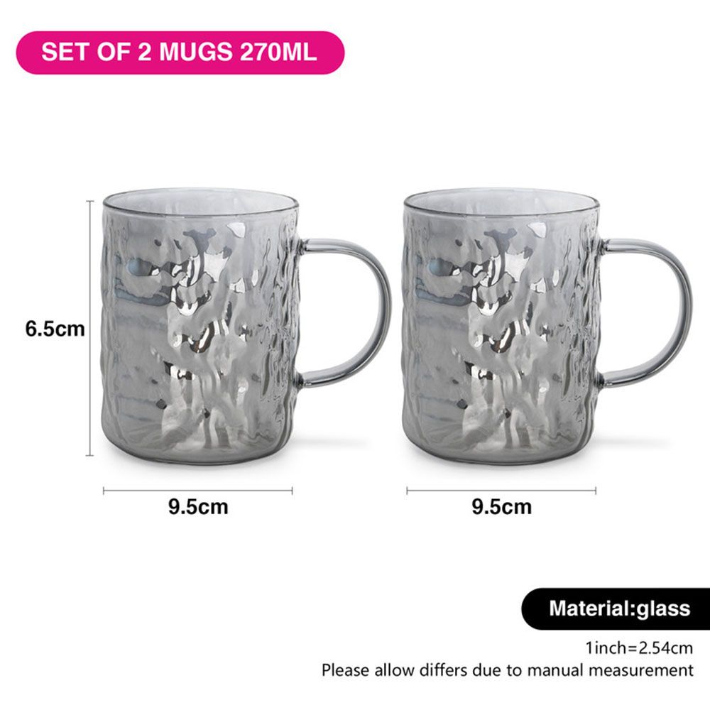 Fissman - Heat Resistant Glass Mug - Grey - 270 ml - 2pcs