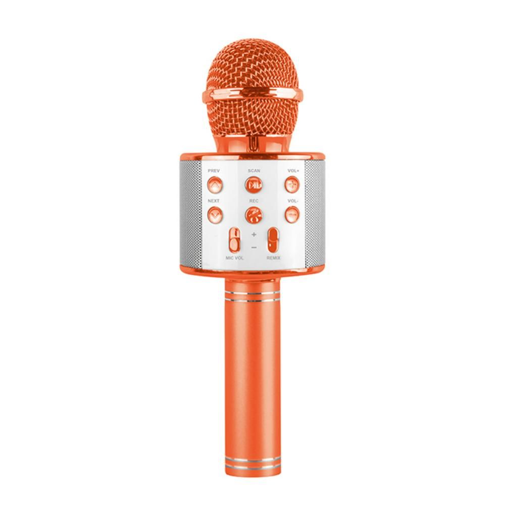 Power Joy - Battery Operated Karaoke Microphone - Color May Vary - 1 Pc