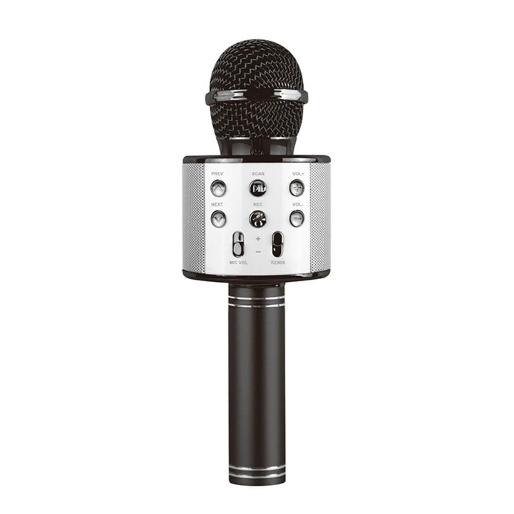 Power Joy - Battery Operated Karaoke Microphone - Color May Vary - 1 Pc