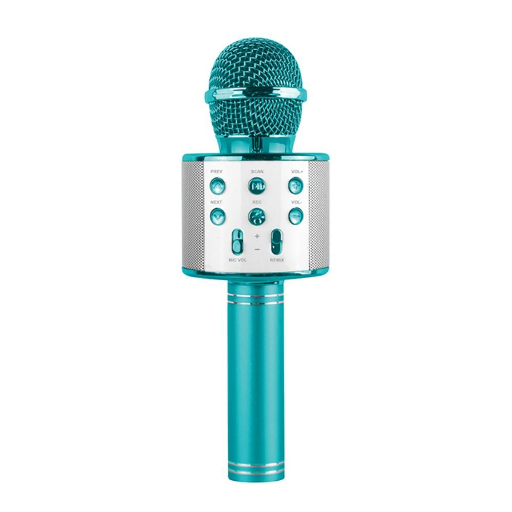 Power Joy - Battery Operated Karaoke Microphone - Color May Vary - 1 Pc