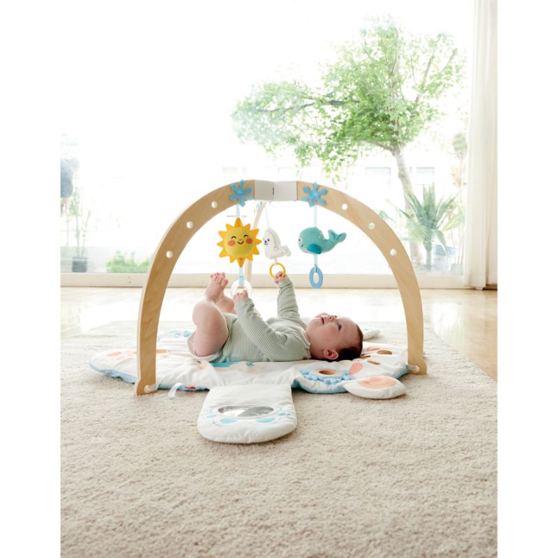 Hape - Snuggle Bear Foldable Activity Gym