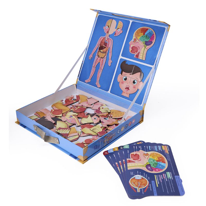 Eurekakids - Human Body Magnetic Puzzle With Flashcards - 100 pcs