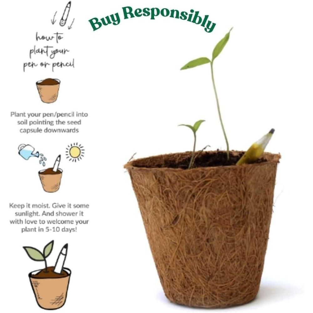 Buy Responsibly - Plantable Pens - Pack Of 5