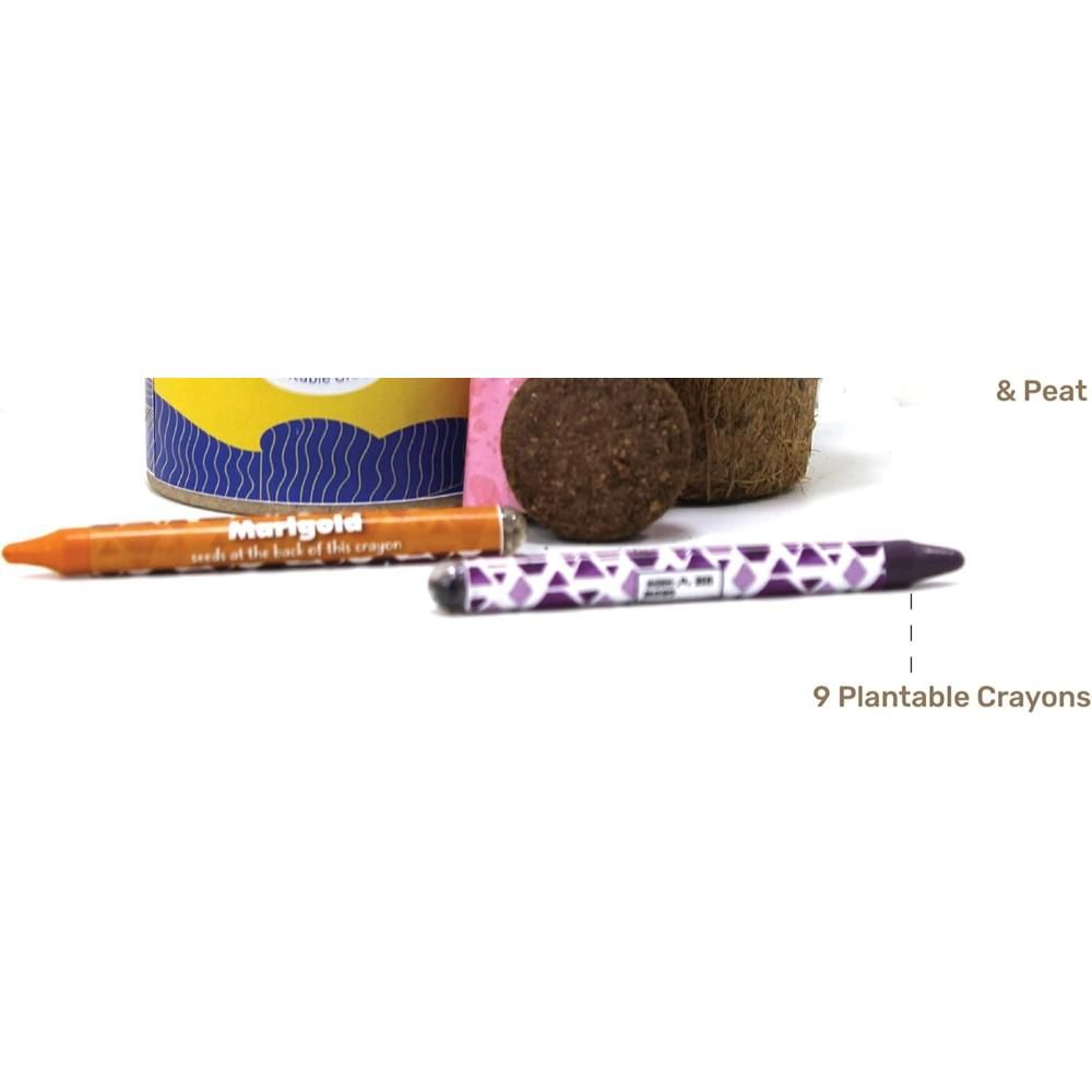 Buy Responsibly - Earthling GIY Kit - Plantable Crayons