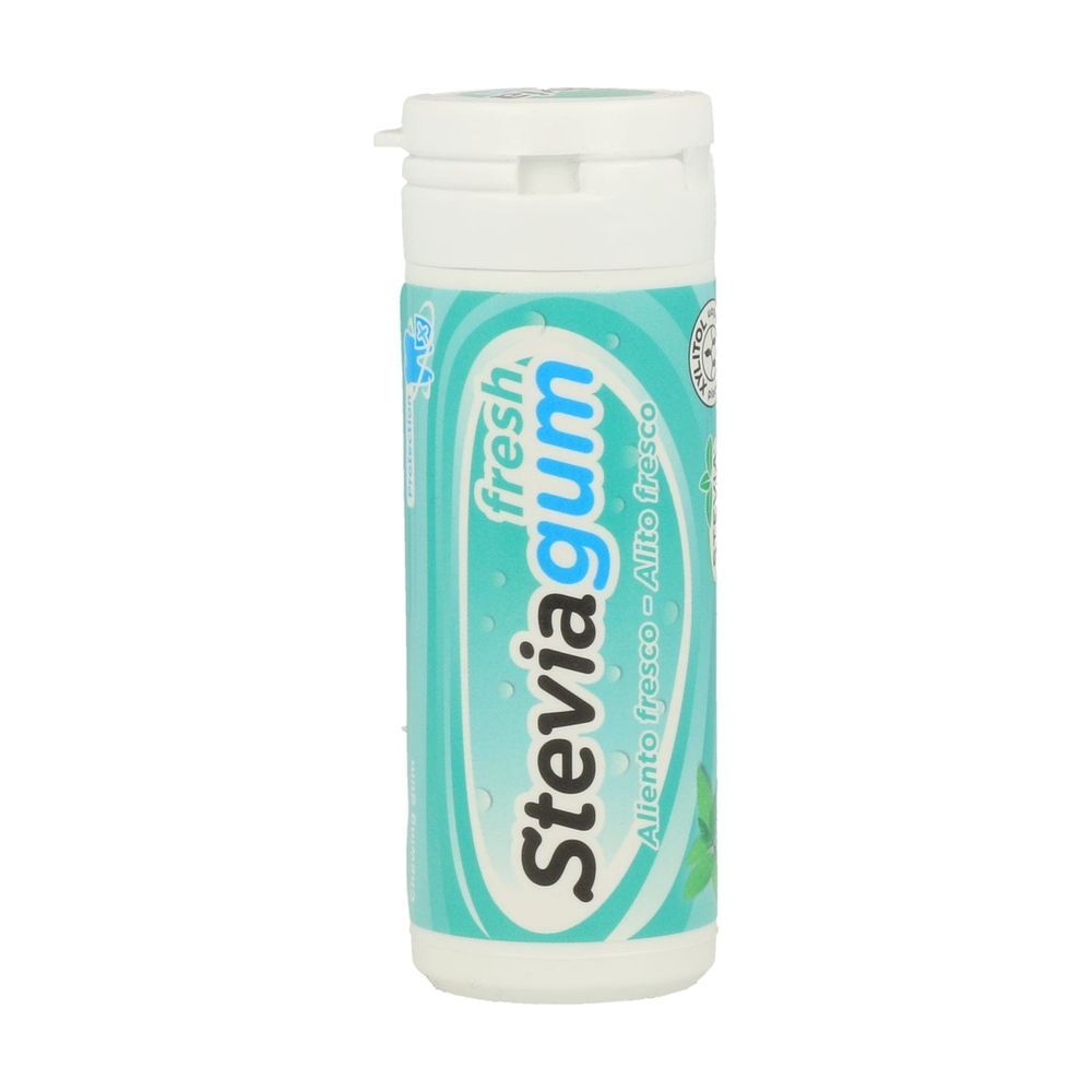 Ginjer - Fresh Steviagum Chewing Gum - Spearmint Flavour - 30 gm