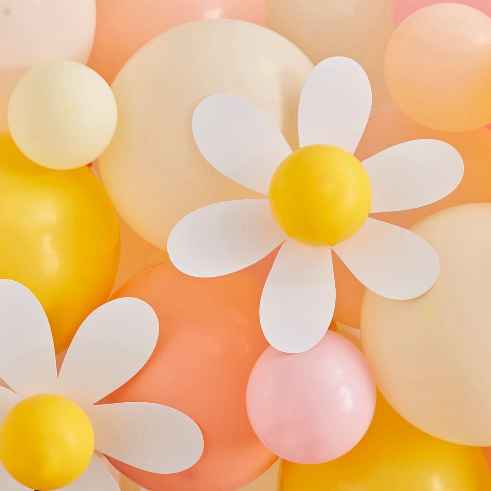 Ginger Ray - Pastel & Daisy Balloon Arch Kit