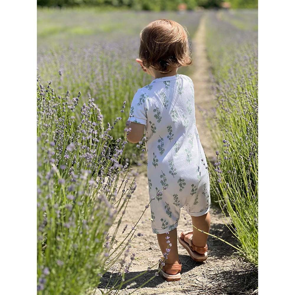 Mjolk - Sleep And Play Romper - Eucalyptus