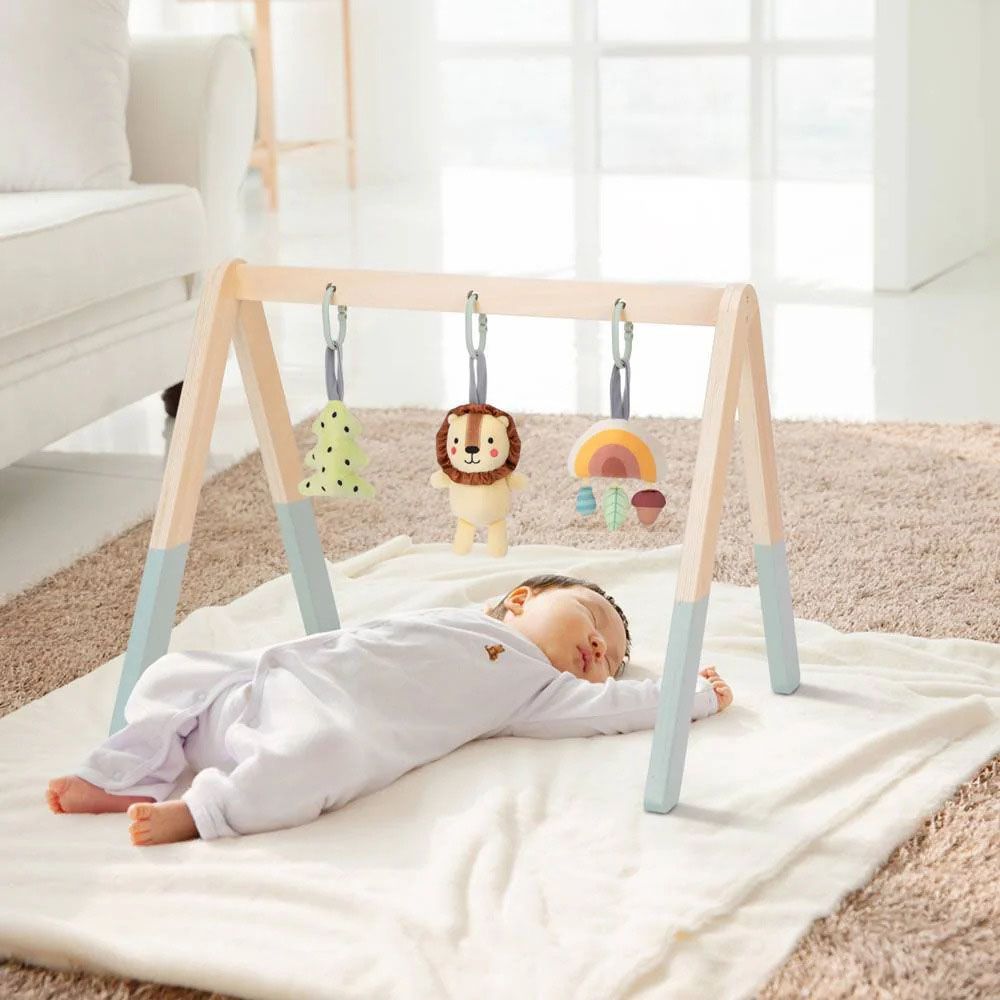 TookyToys - Wooden Baby Gym