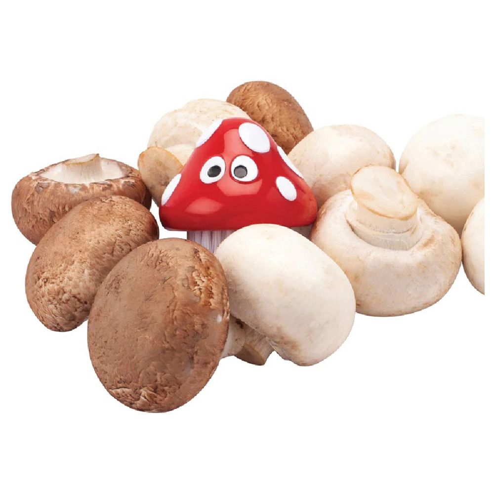 Joie - Shroom Groom Mushroom Brush, Assorted 1 Piece