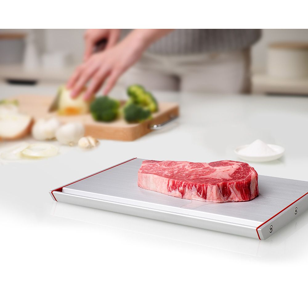 That! Inventions - Thawthat! Modern Defrosting Tray - Silver