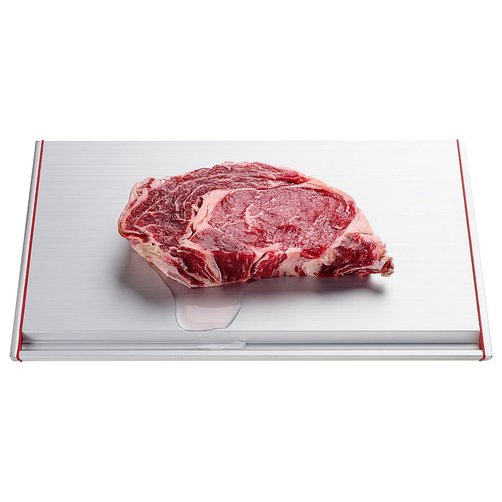 That! Inventions - Thawthat! Modern Defrosting Tray - Silver