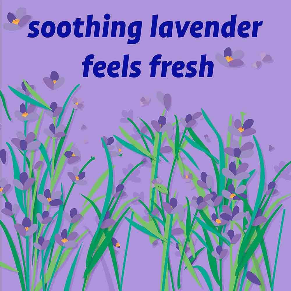 Originally Yellow - Natural Moisture Absorber - Lavender - 300 g - Pack of 2