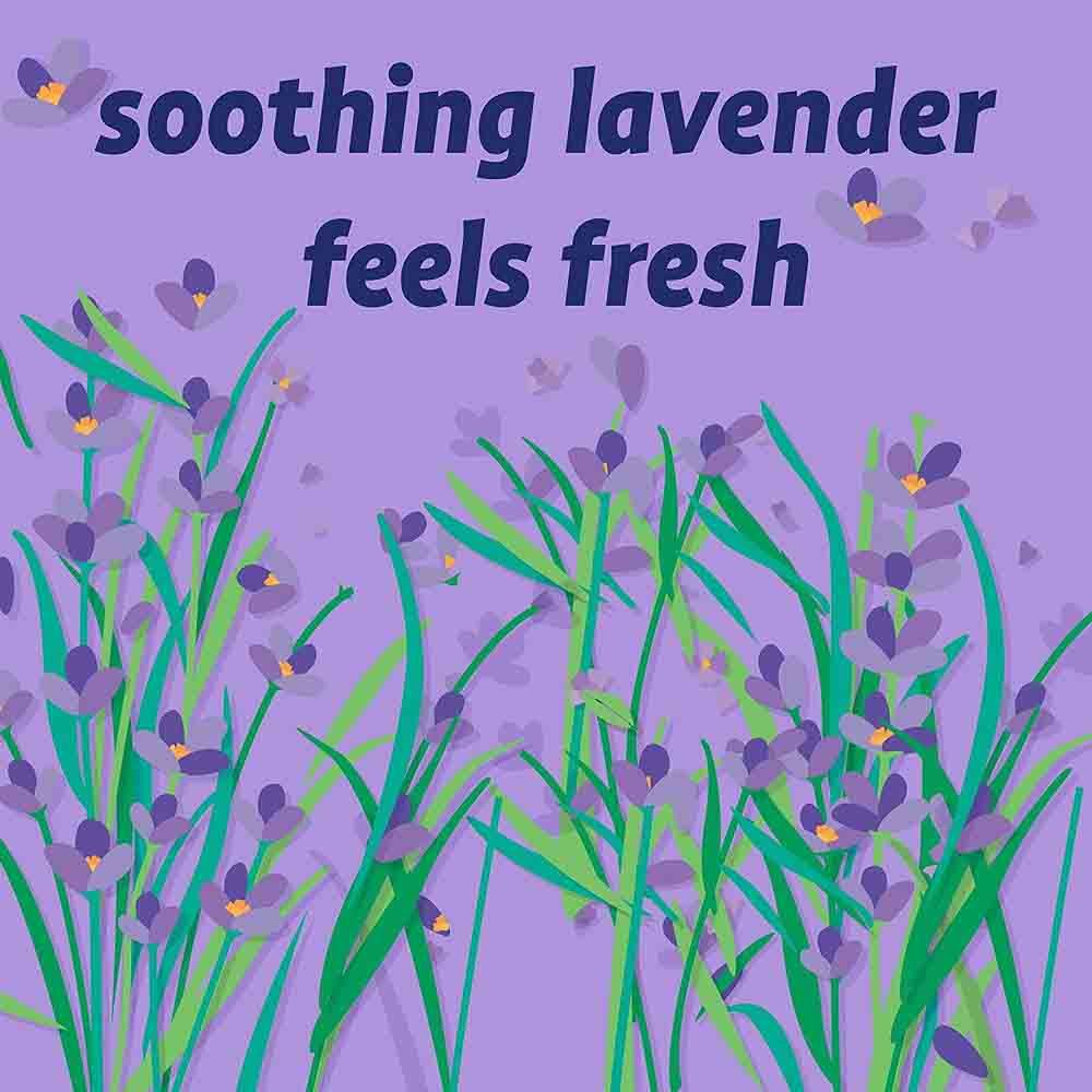 Originally Yellow - Organic Lavender Infused Hand Wash - 470 ml - Pack of 2