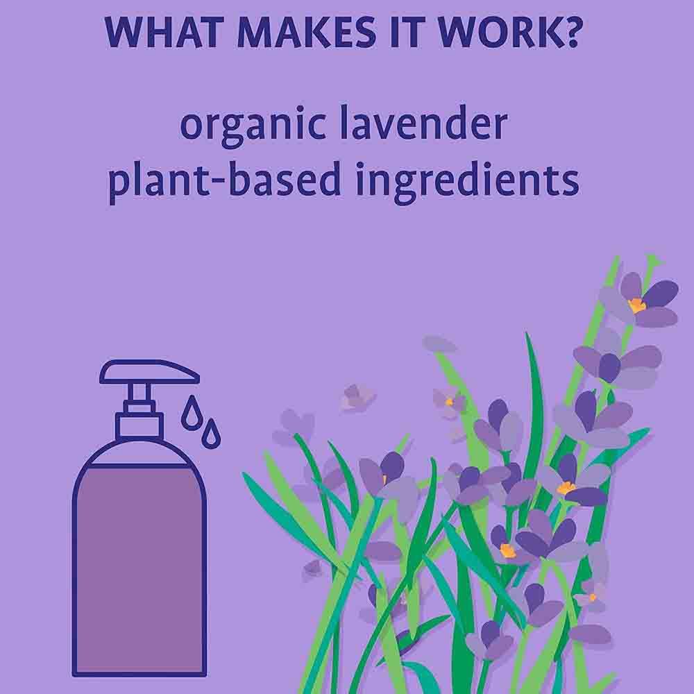 Originally Yellow - Organic Lavender Infused Hand Wash - 470 ml