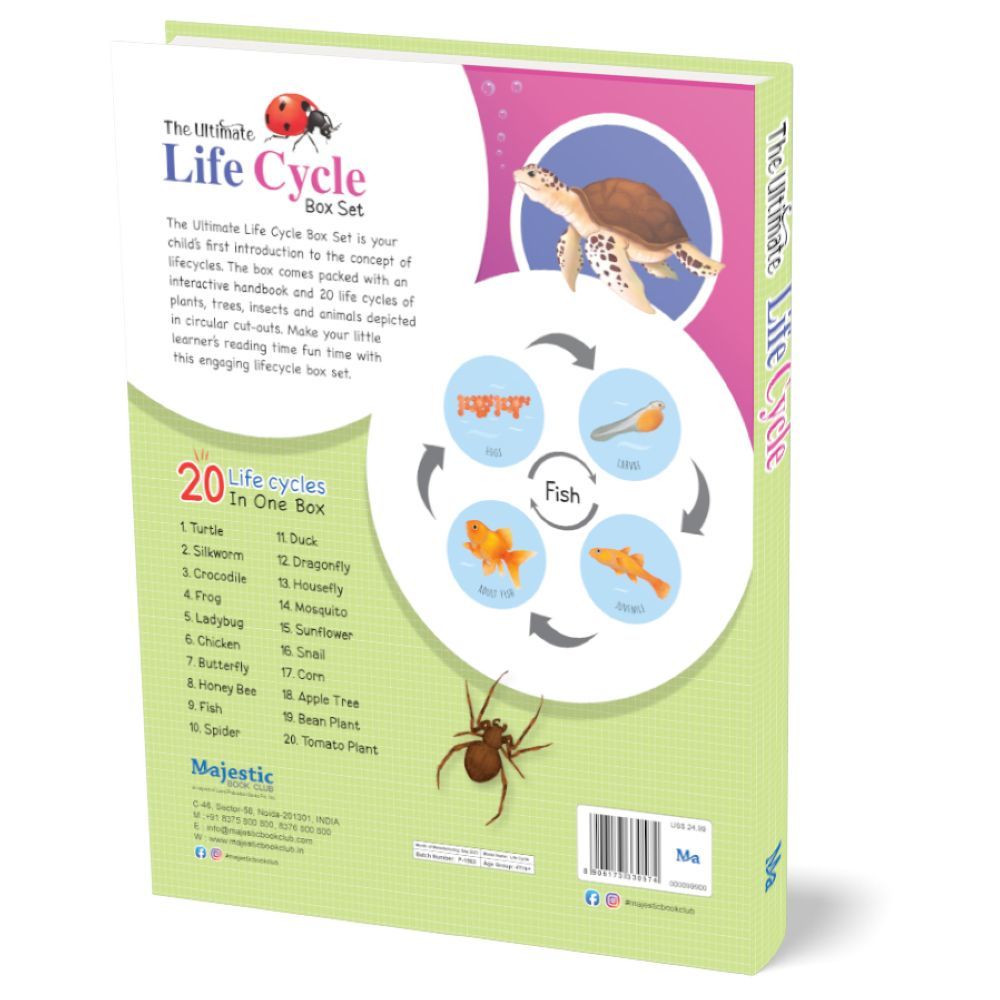 Life Cycle Puzzle 20pcs With Puzzle Book