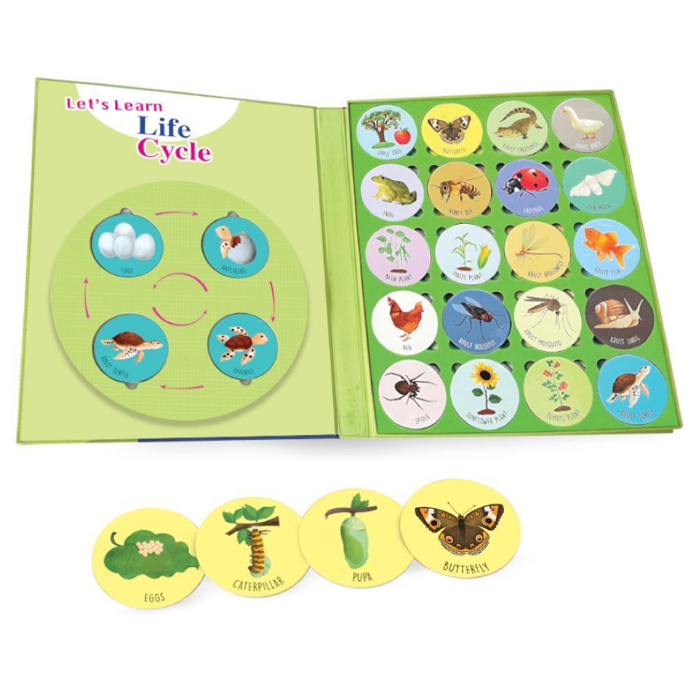 Life Cycle Puzzle 20pcs With Puzzle Book