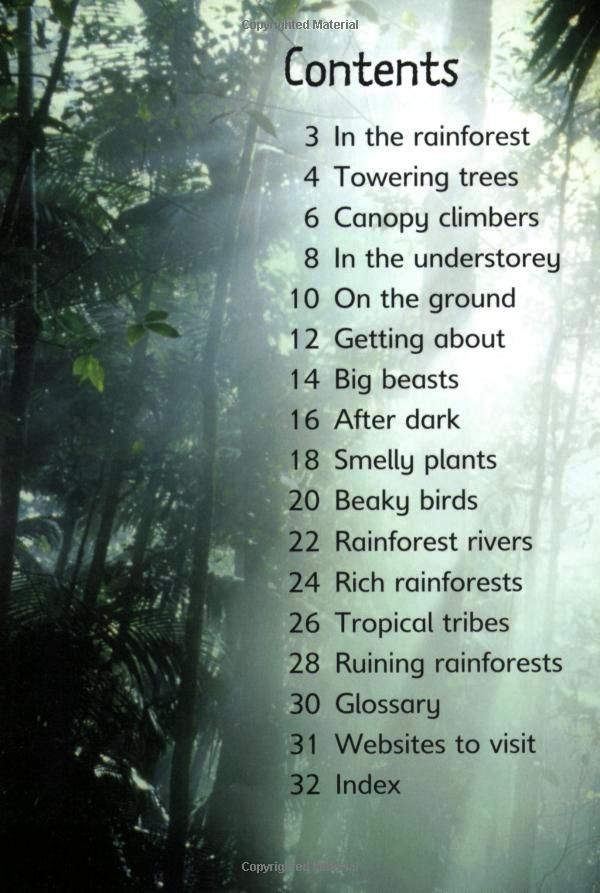 Usborne Books - Beginners: Rainforests