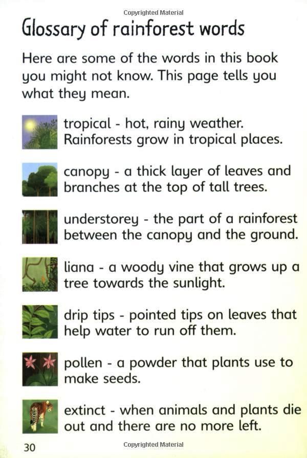 Usborne Books - Beginners: Rainforests