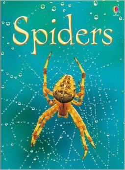 كتاب "Spiders - Rebecca Gilpin" من كتب أسبورن