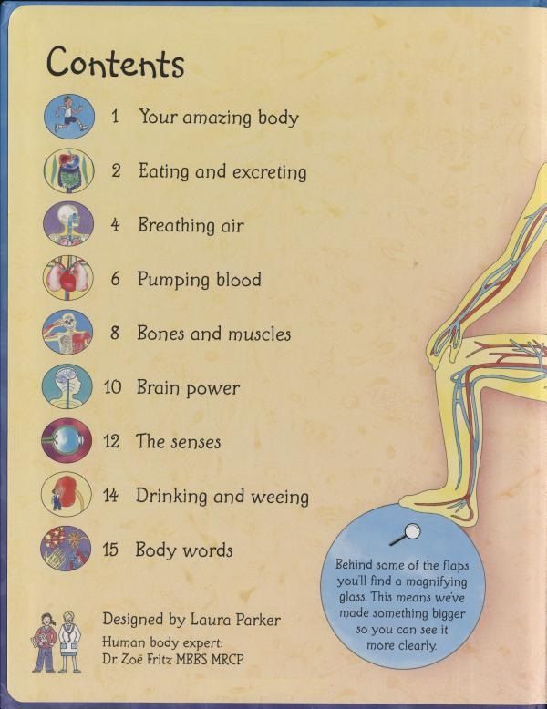 كتب أسبورن-  كتاب استكشف جسمك "Flap Book See Inside Your Body"  